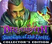 Dreampath Game Series List 3. Guardian of the Forest