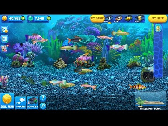 Fish Tycoon 2 Virtual Aquarium for Free Demo and Full Version Download for PC and Mac